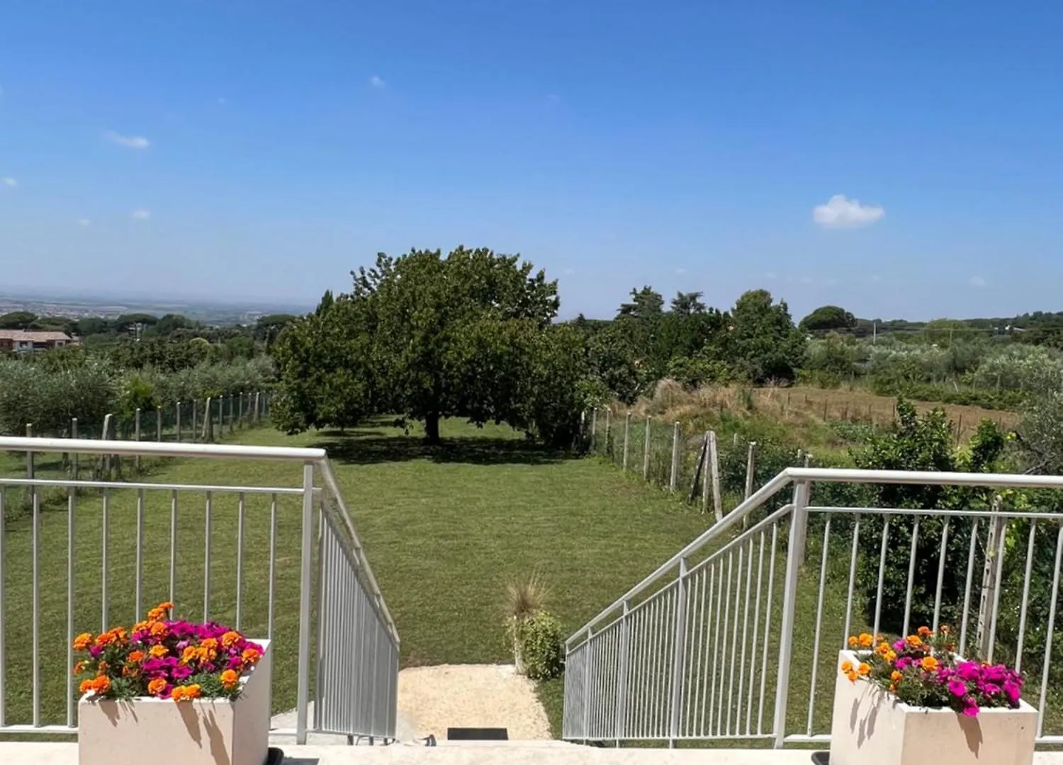 La Terrazza Sul Ciliegio Apartment Marino Italy