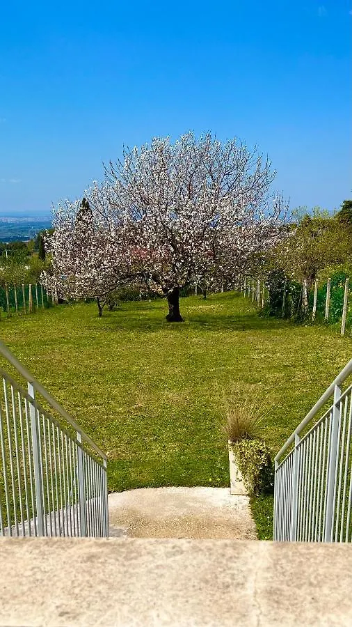 La Terrazza Sul Ciliegio Διαμέρισμα Marino